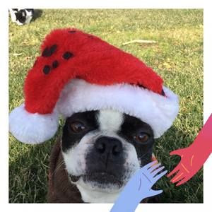 Meet your Posher, Tami